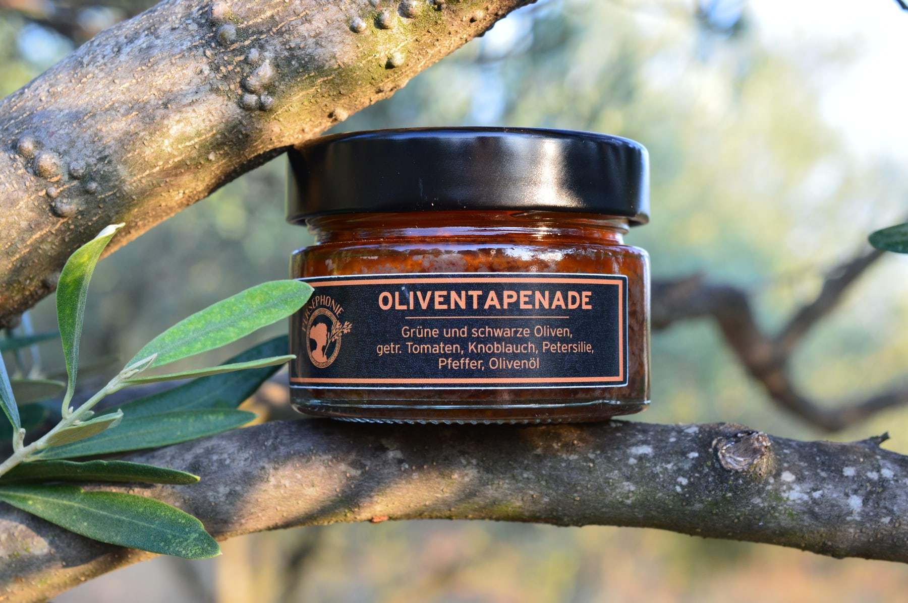 Glas Oliventapenade mit schwarzem Etikett und orangem Rahmen, abgelegt in den Ästen eines Olivenbaums